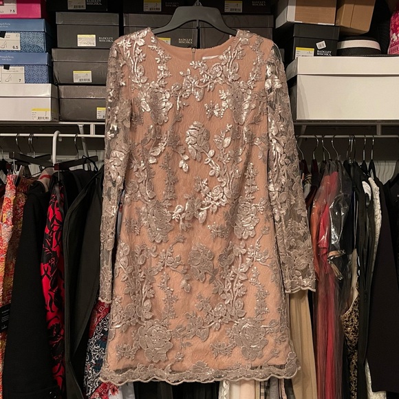 ‘Grace’ Dress in Silver & Tan by Dress the Population - Picture 7 of 15